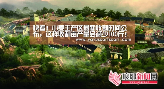 快看!小麦主产区最新收割时间公布,这样收割亩产量会减少100斤!!!(请转给农机手)“亚娱官网”(图1) 亚娱