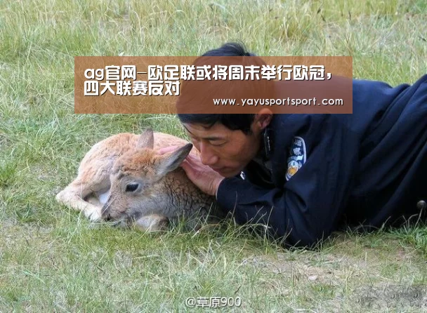 ag官网-欧足联或将周末举行欧冠,四大联赛反对(图1) 亚娱官网