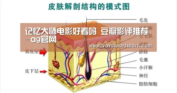 记忆大师电影好看吗 豆瓣影评推荐-ag官网(图1) 亚娱官网