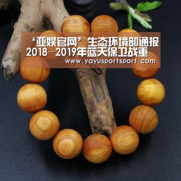 ‘亚娱官网’生态环境部通报2018-2019年蓝天保卫战重点区域强化监督情况(2月19日)(图4) ag官网