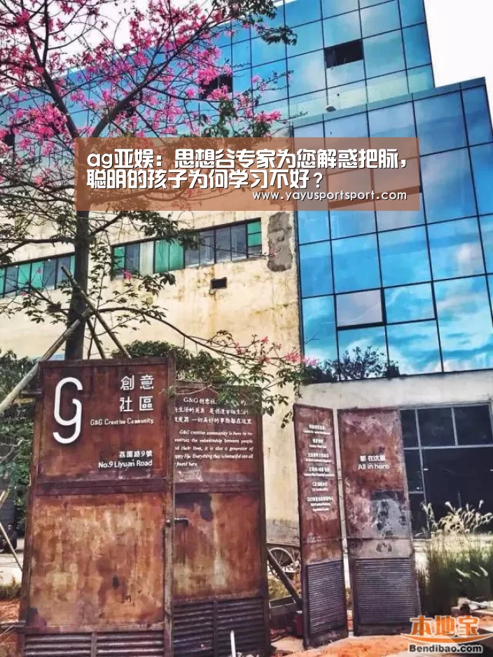 ag亚娱:思想谷专家为您解惑把脉,聪明的孩子为何学习不好?(图1) 亚娱