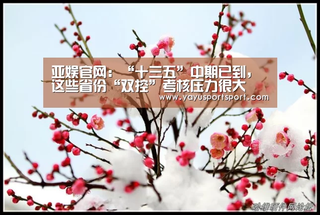 亚娱官网:“十三五”中期已到,这些省份“双控”考核压力很大(图1) 亚娱
